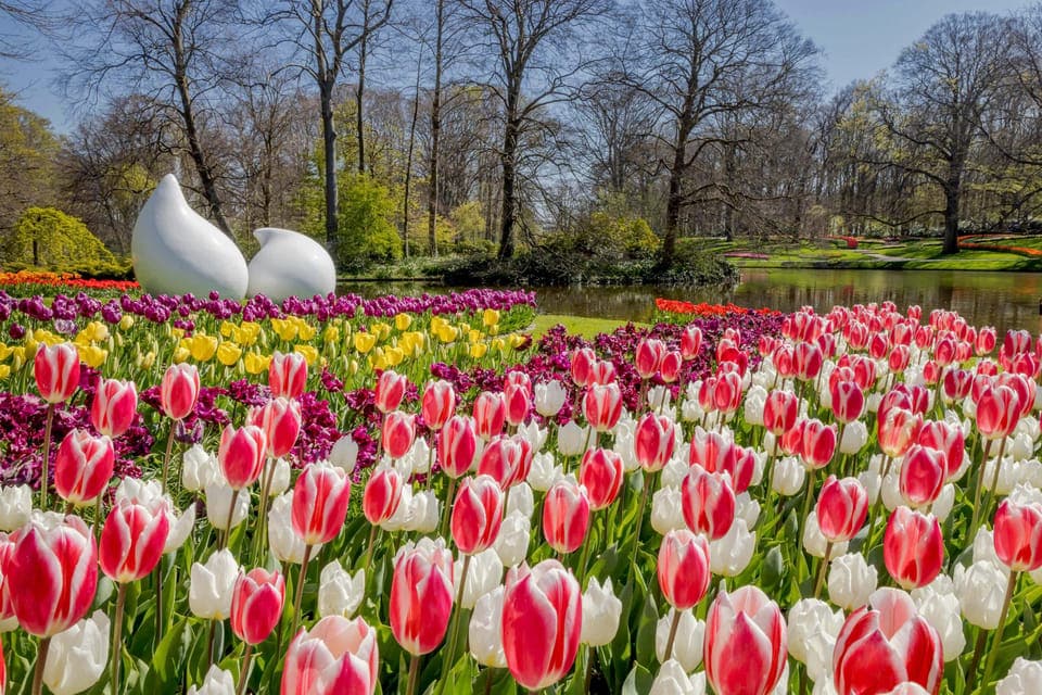 keukenhof bi̇leti̇ ()